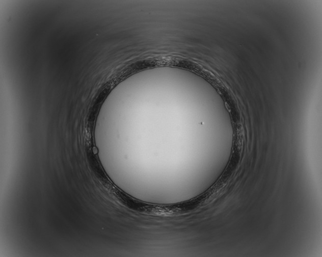 X0000086080613200704132105