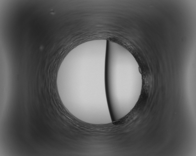 X0000086080617200704132105