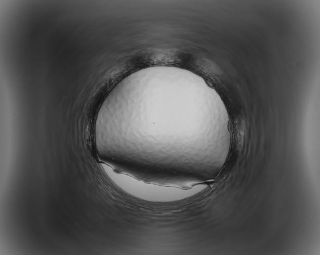 X0000086080619200704132105