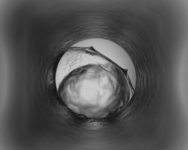 X0000086080620200704132105