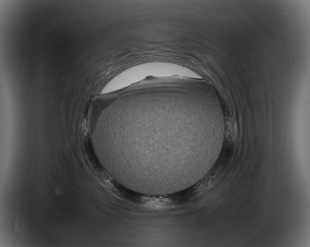 X0000086080621200704132105