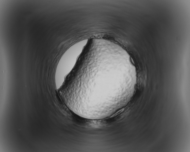 X0000086080623200704132105