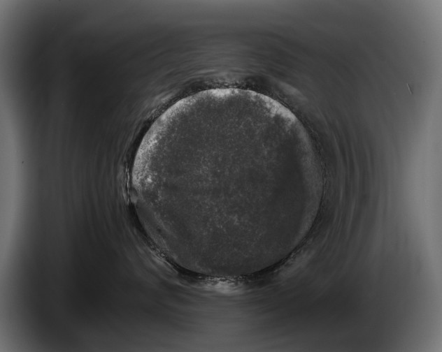 X0000086080624200704132105