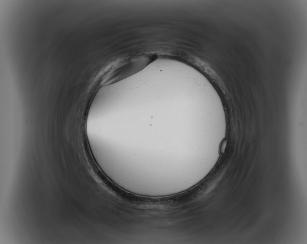 X0000086080625200704132104