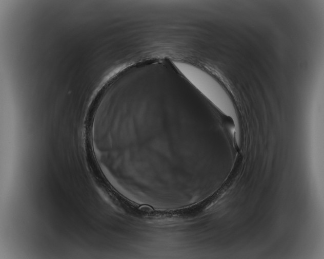 X0000086080626200704132104