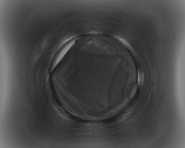 X0000086080627200704132104