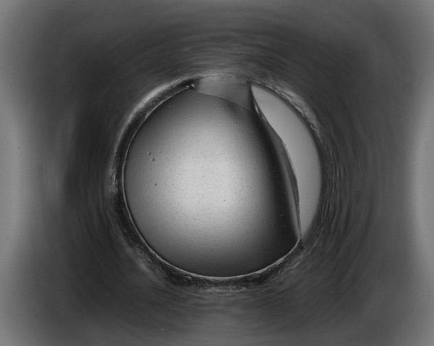 X0000086080628200704132104