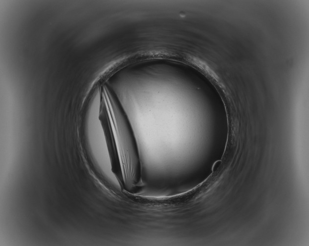 X0000086080629200704132104