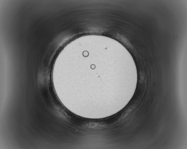 X0000086080632200704132104