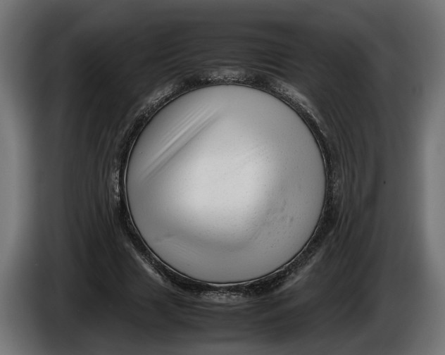 X0000086080633200704132104