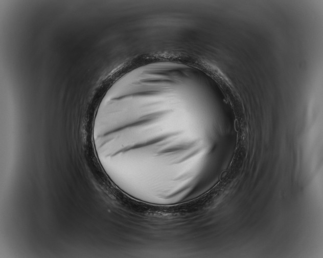 X0000086080635200704132104