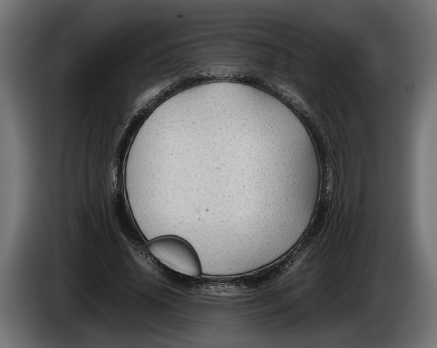 X0000086080636200704132104