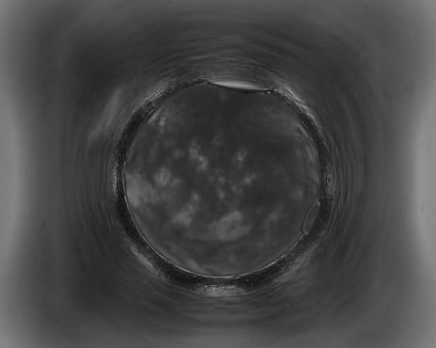 X0000086080637200704132104