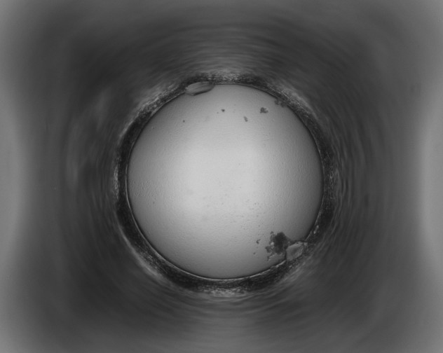 X0000086080638200704132104