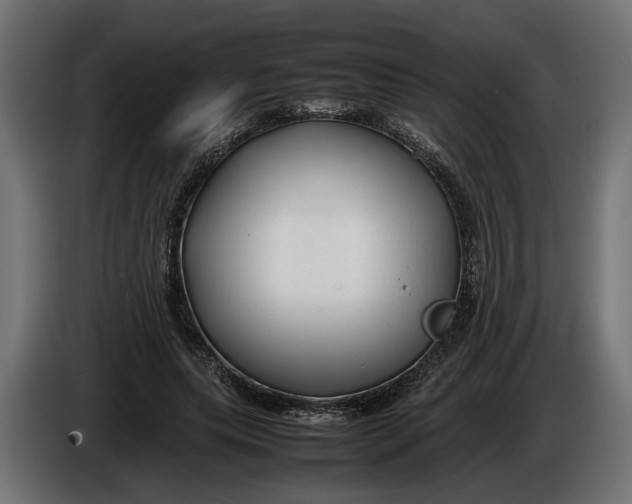 X0000086080639200704132104