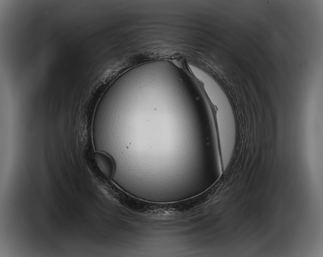 X0000086080642200704132104