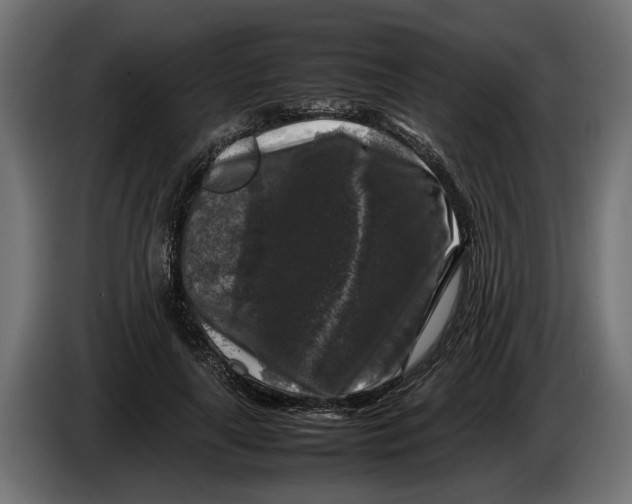 X0000086080643200704132104