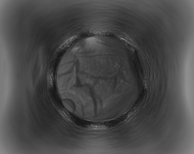 X0000086080644200704132104