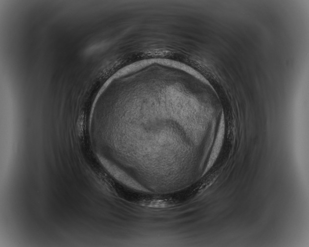 X0000086080647200704132104