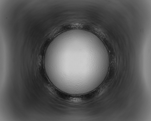 X0000086080649200704132104