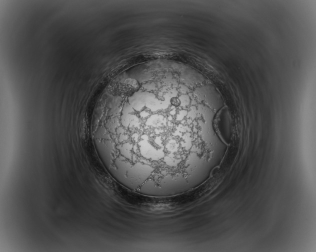 X0000086080651200704132104