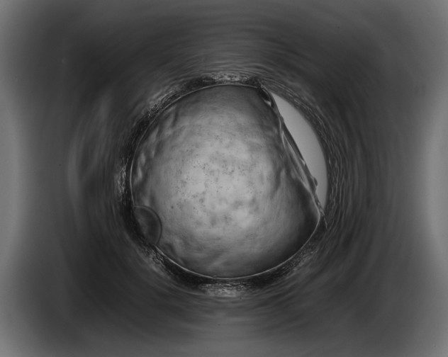 X0000086080652200704132104