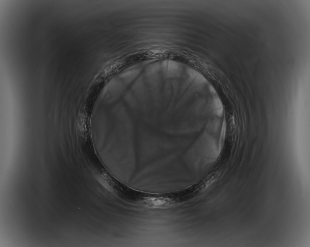 X0000086080654200704132104