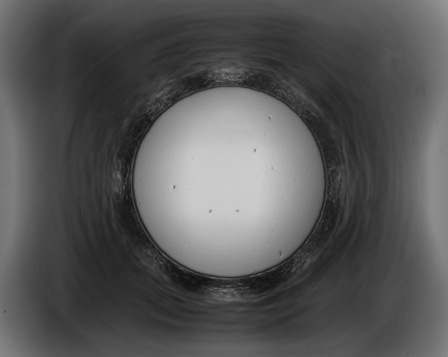 X0000086080655200704132104