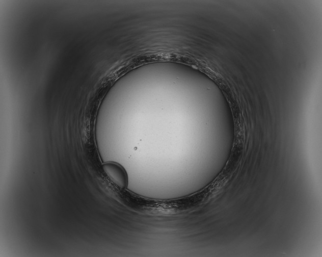 X0000086080656200704132104