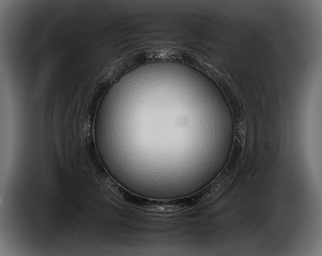 X0000086080657200704132104