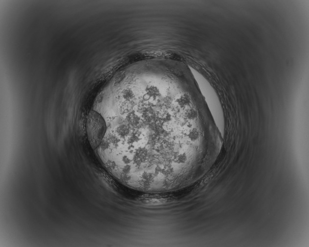 X0000086080658200704132104