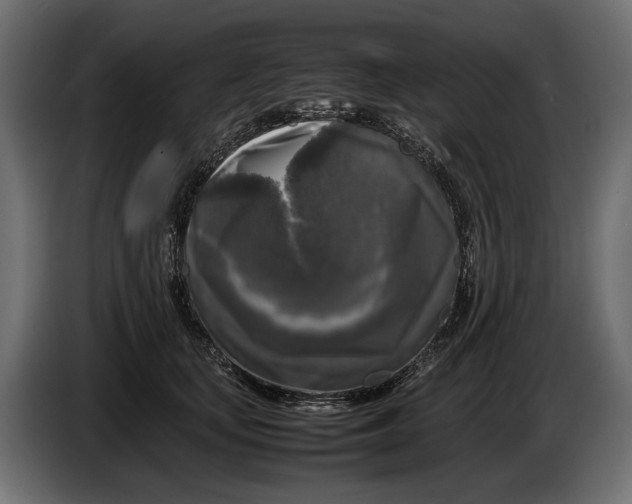 X0000086080659200704132104