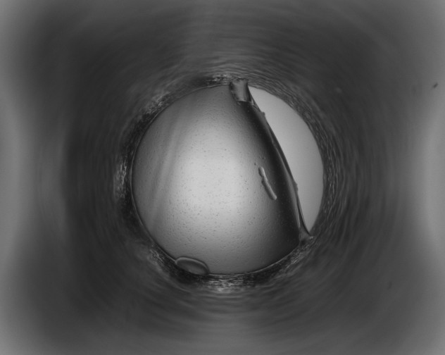 X0000086080660200704132104