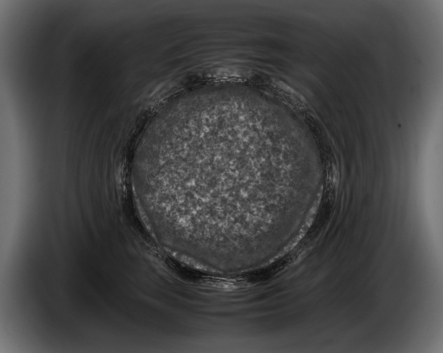 X0000086080663200704132105