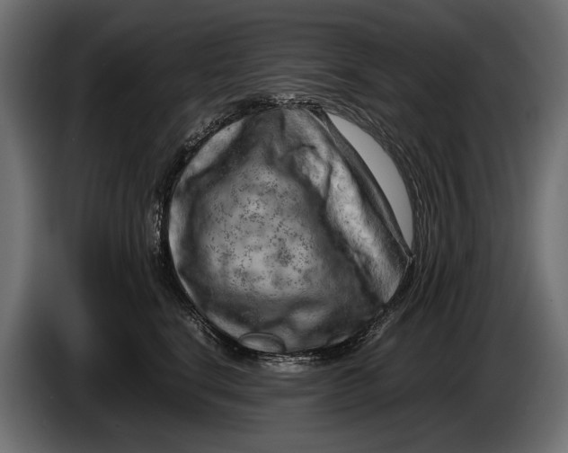 X0000086080664200704132105