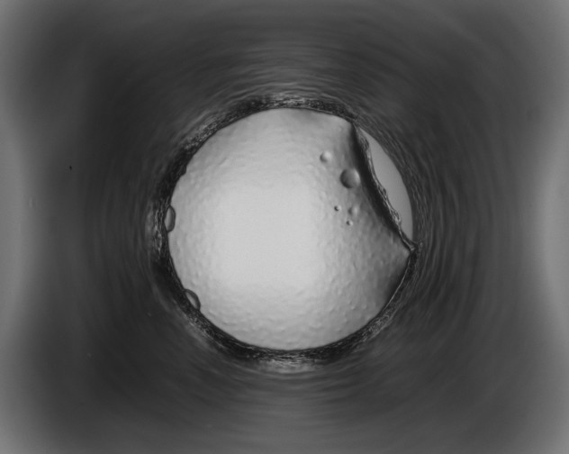 X0000086080666200704132105