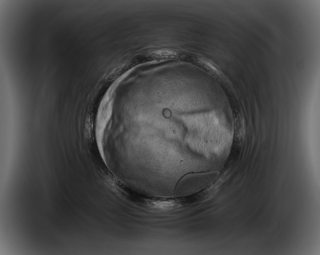 X0000086080669200704132105