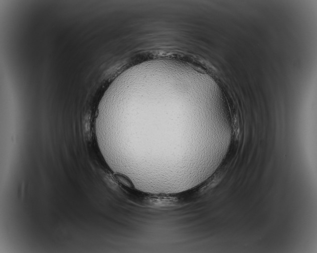 X0000086080670200704132105