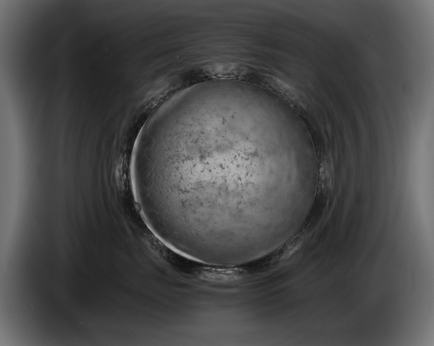 X0000086080671200704132105