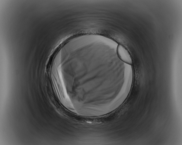 X0000086080674200704132104