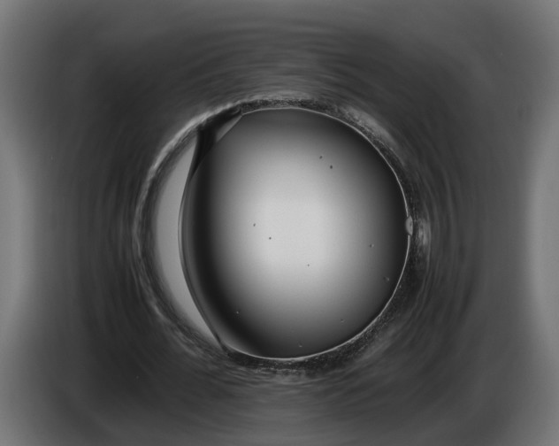 X0000086080676200704132104