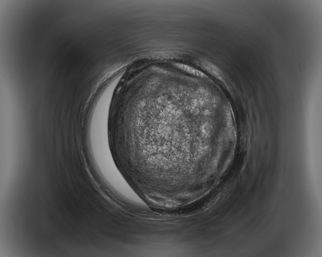 X0000086080677200704132104