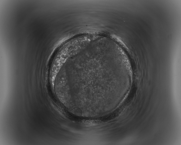 X0000086080679200704132104