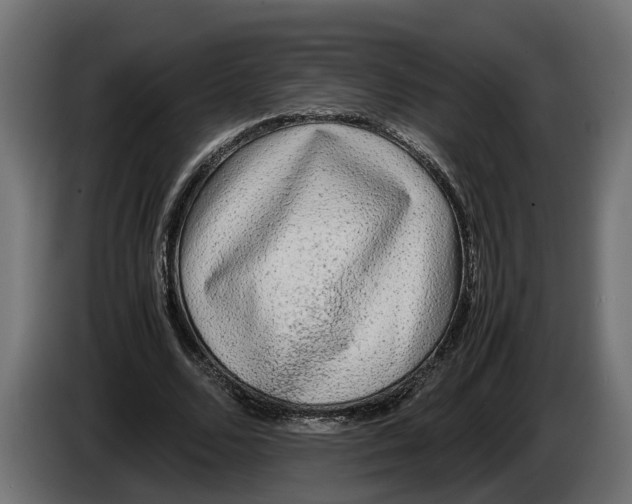 X0000086080680200704132104