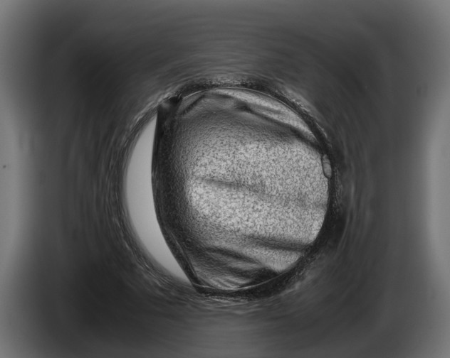 X0000086080681200704132104