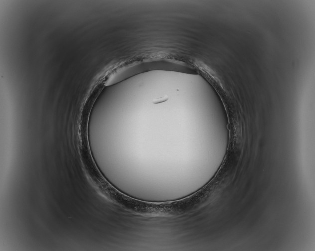 X0000086080682200704132104