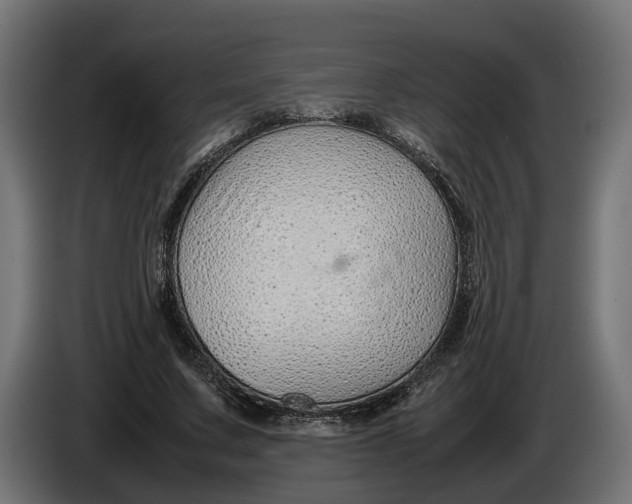 X0000086080683200704132104