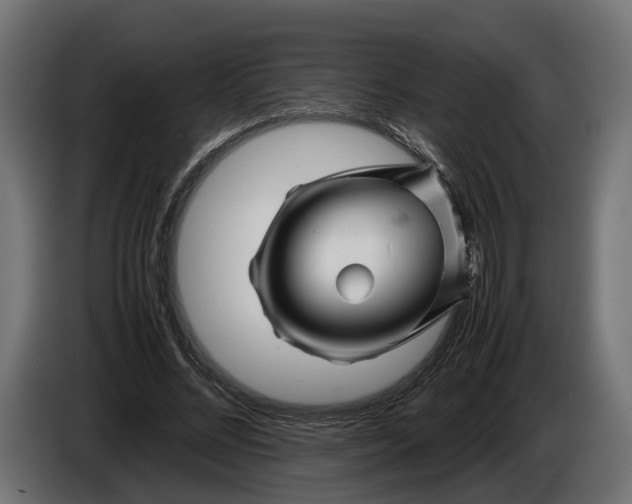 X0000086080684200704132104