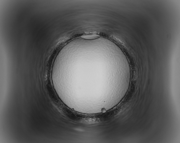 X0000086080687200704132104