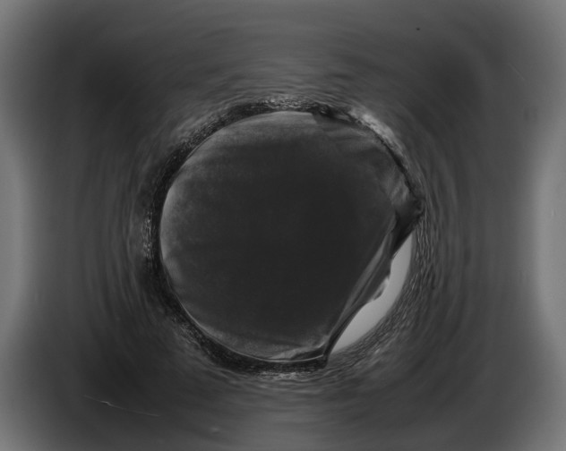 X0000086080689200704132104